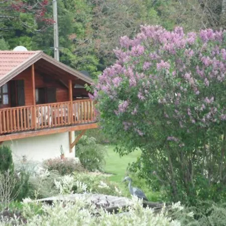 Confortable A Plombieres-les-bains, Proche Thermes, Nature Et - Fr-1-589-194 Ferienhaus Le Val-dʼAjol