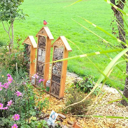 Confortable A Plombieres-les-bains, Proche Thermes, Nature Et - Fr-1-589-194 度假居 Le Val-dʼAjol